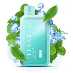 ELFBAR RAYA D1