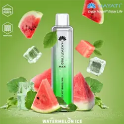 Hayati Pro Max 4000 Box of 10